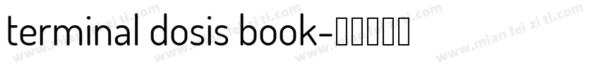 terminal dosis book字体转换